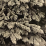 Nordmann EXTRA Givré 