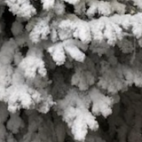 Nordmann EXTRA FLOQUÉ BLANC