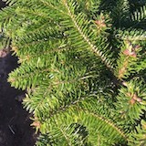 Nordmann EXTRA 100% Naturel