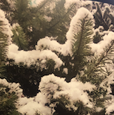 Nordmann EXTRA - Retombées Neige